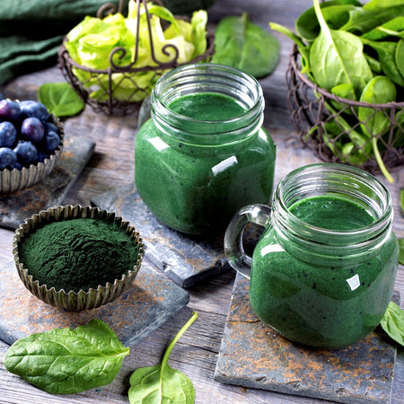 Know your algae: Everything you need to know about Chlorella and Spirulina